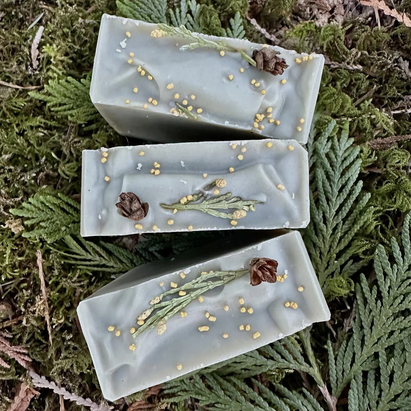 Ringing Cedar I.jpeg