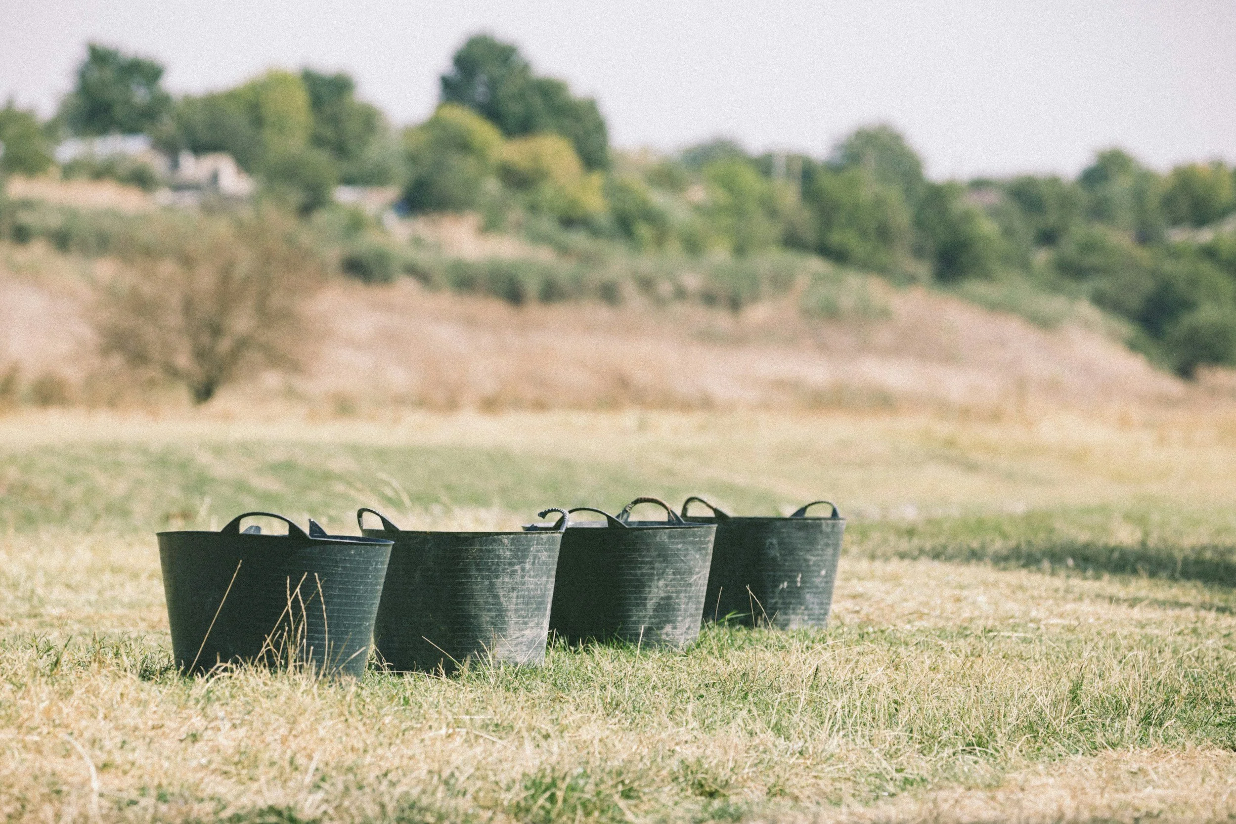Which Taproom Bucket Do You Fall Into?