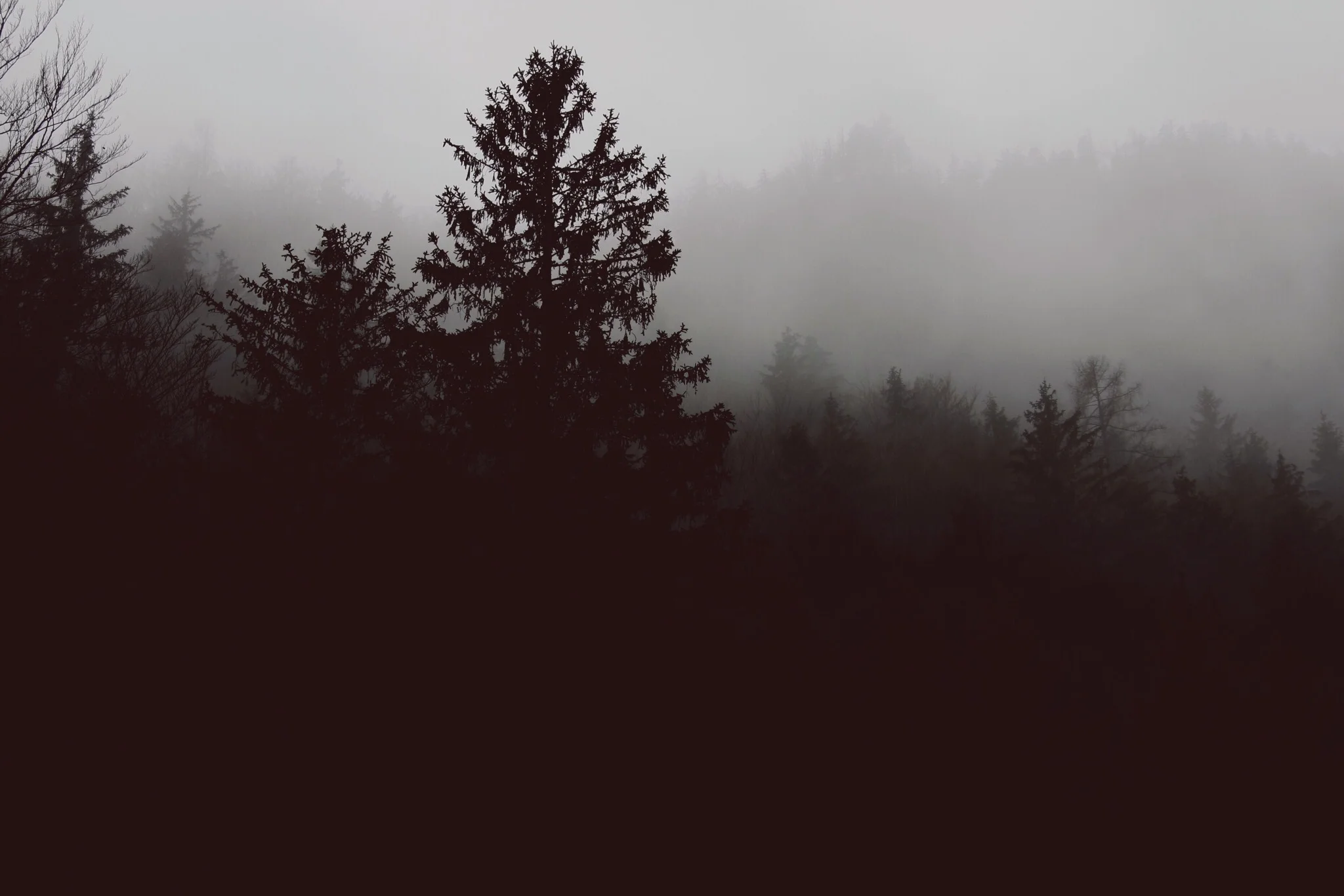 vsco_011217-5.jpg