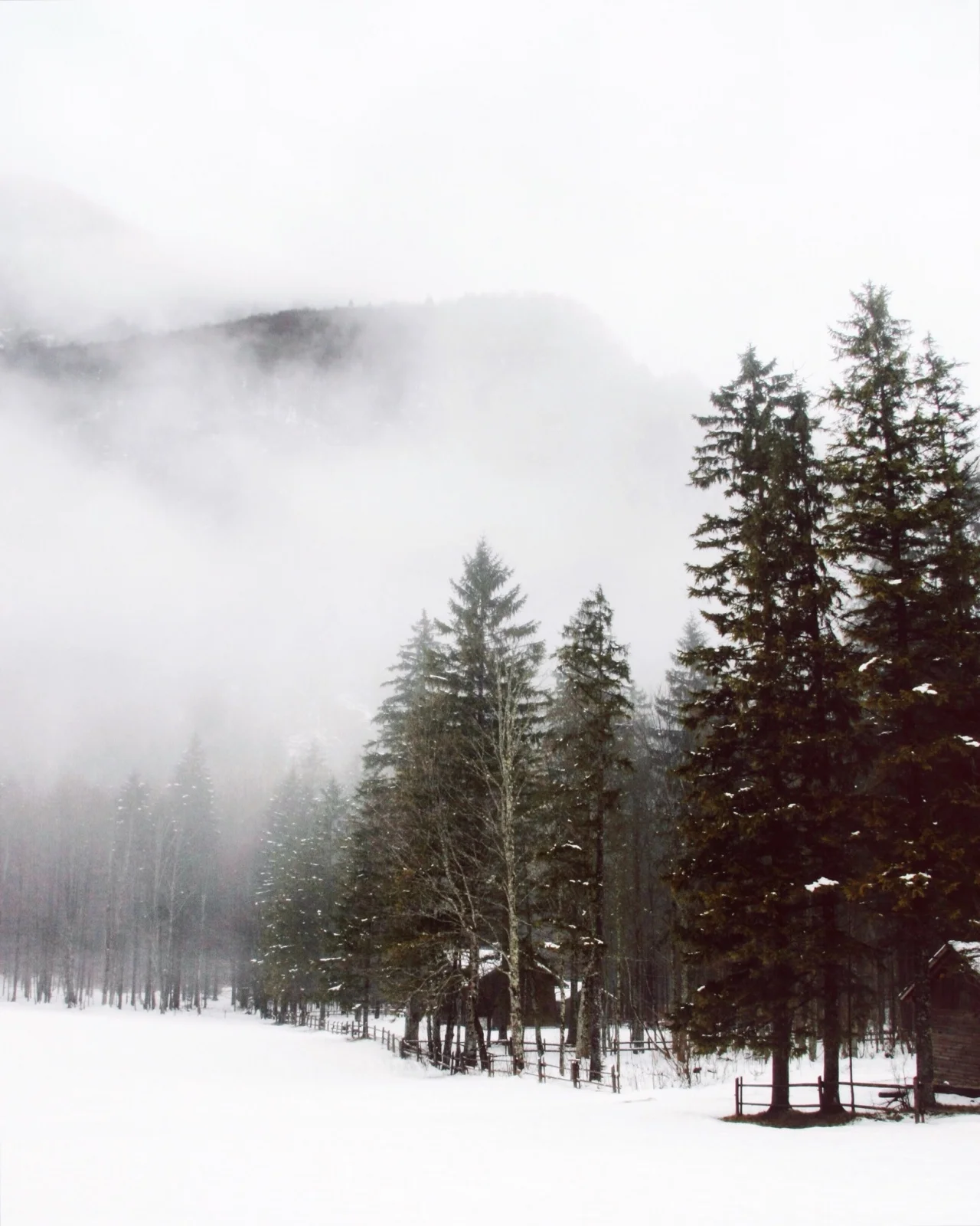 vsco_011217-7.jpg