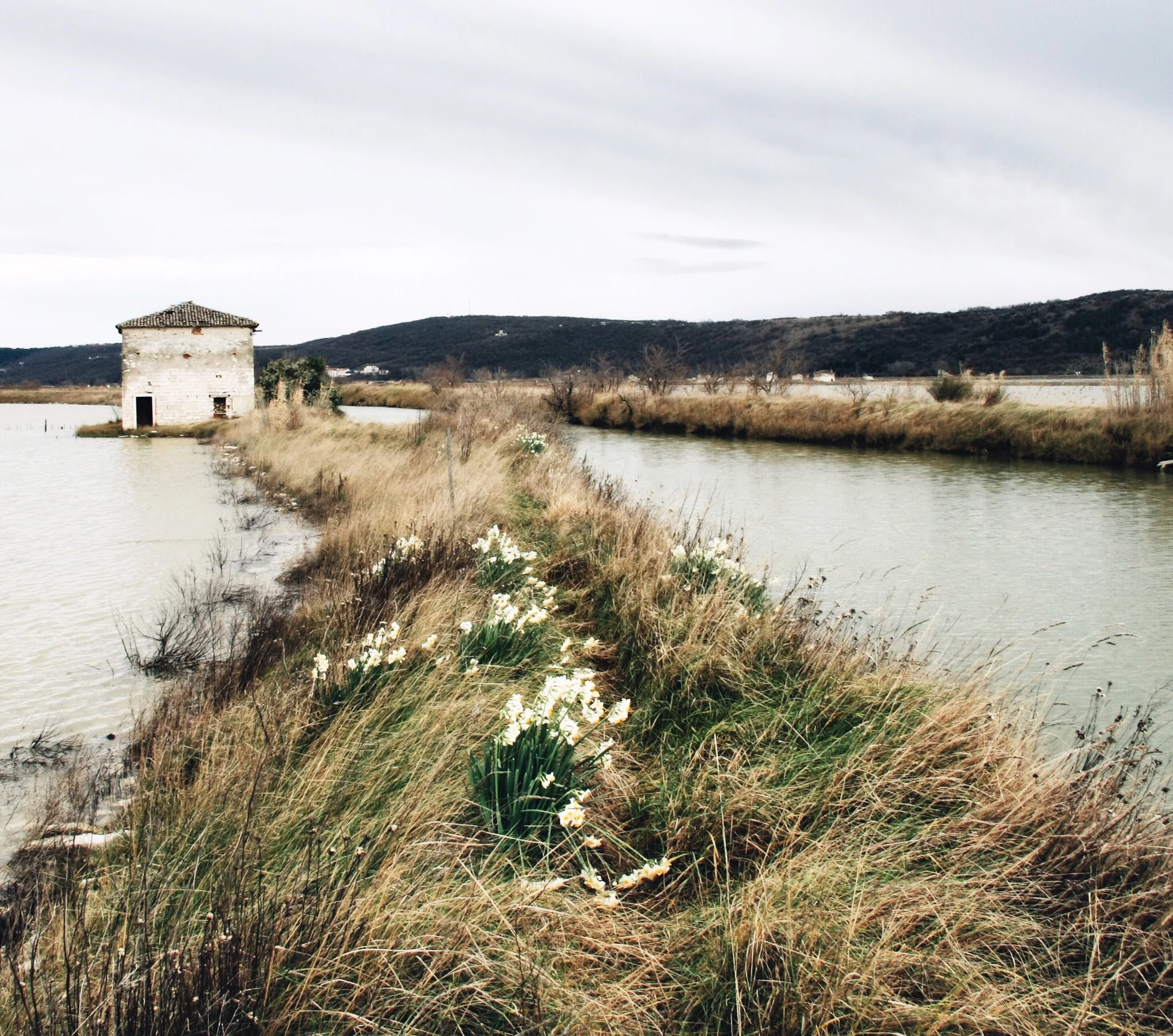 vsco_011217-13.jpg