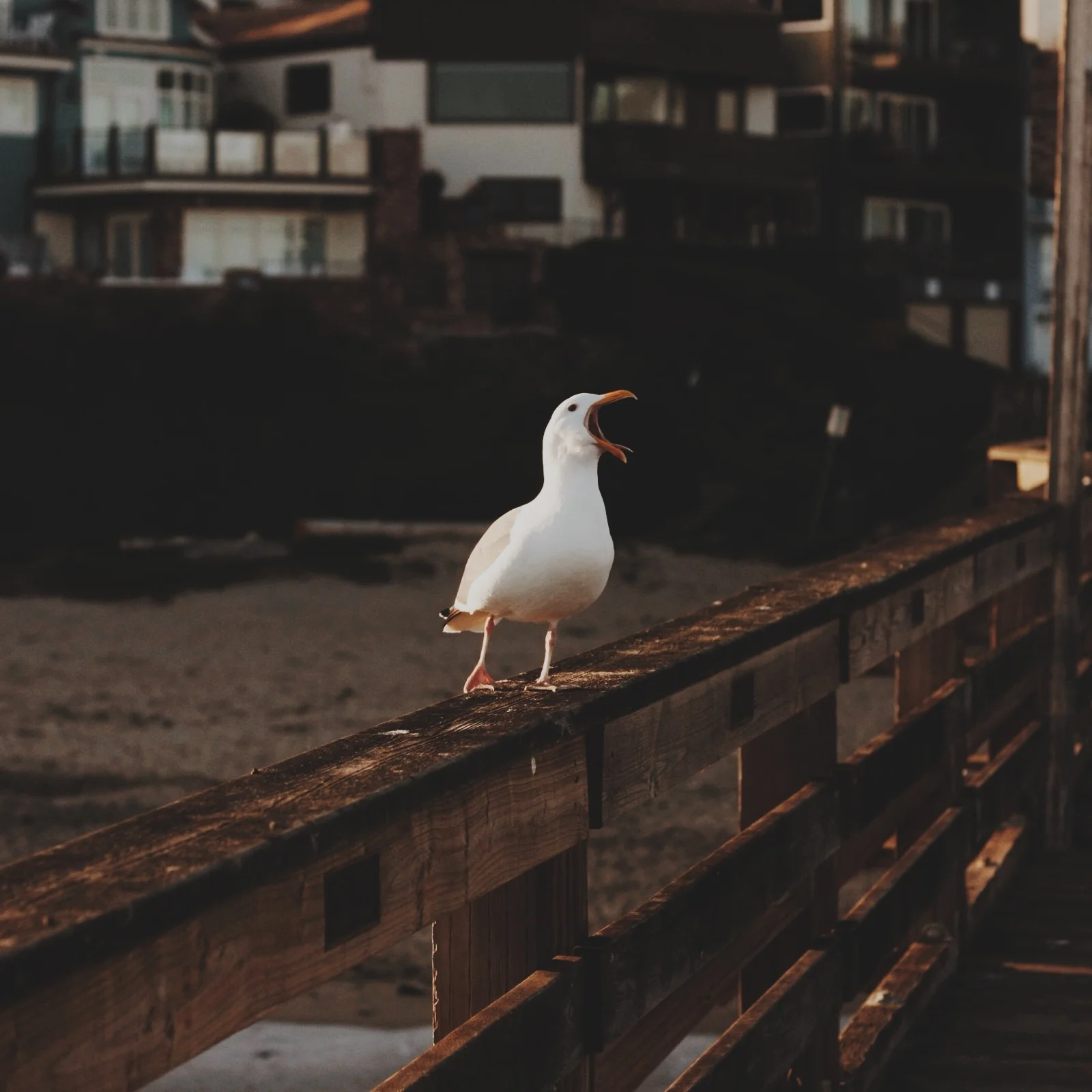 vsco_041014.jpg