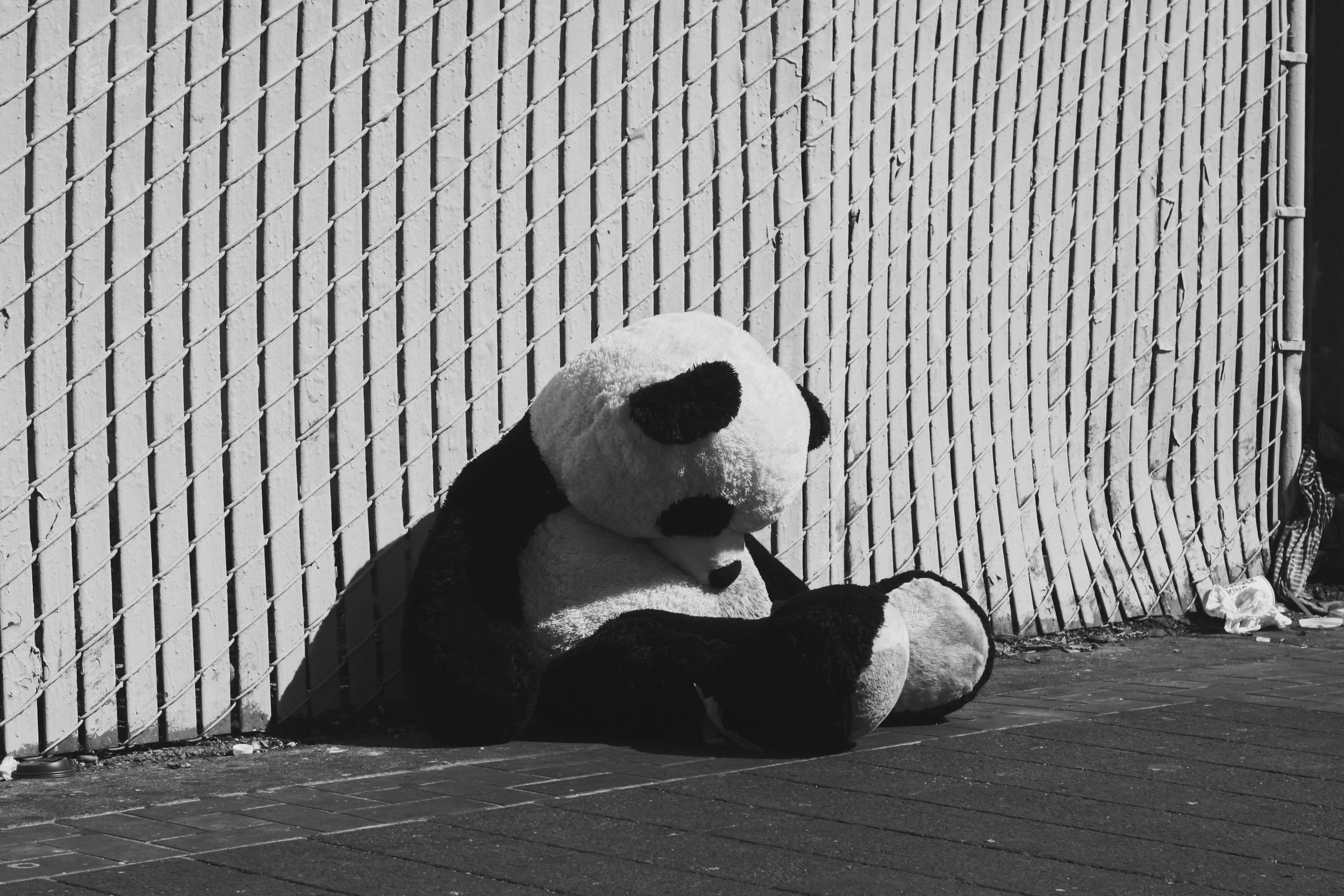 SadPanda3.JPG