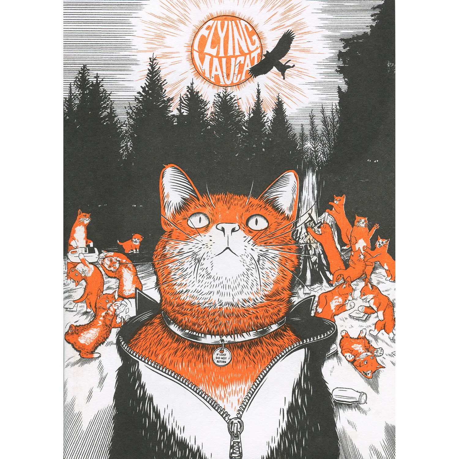 Flying May Cat Cover-store.jpg