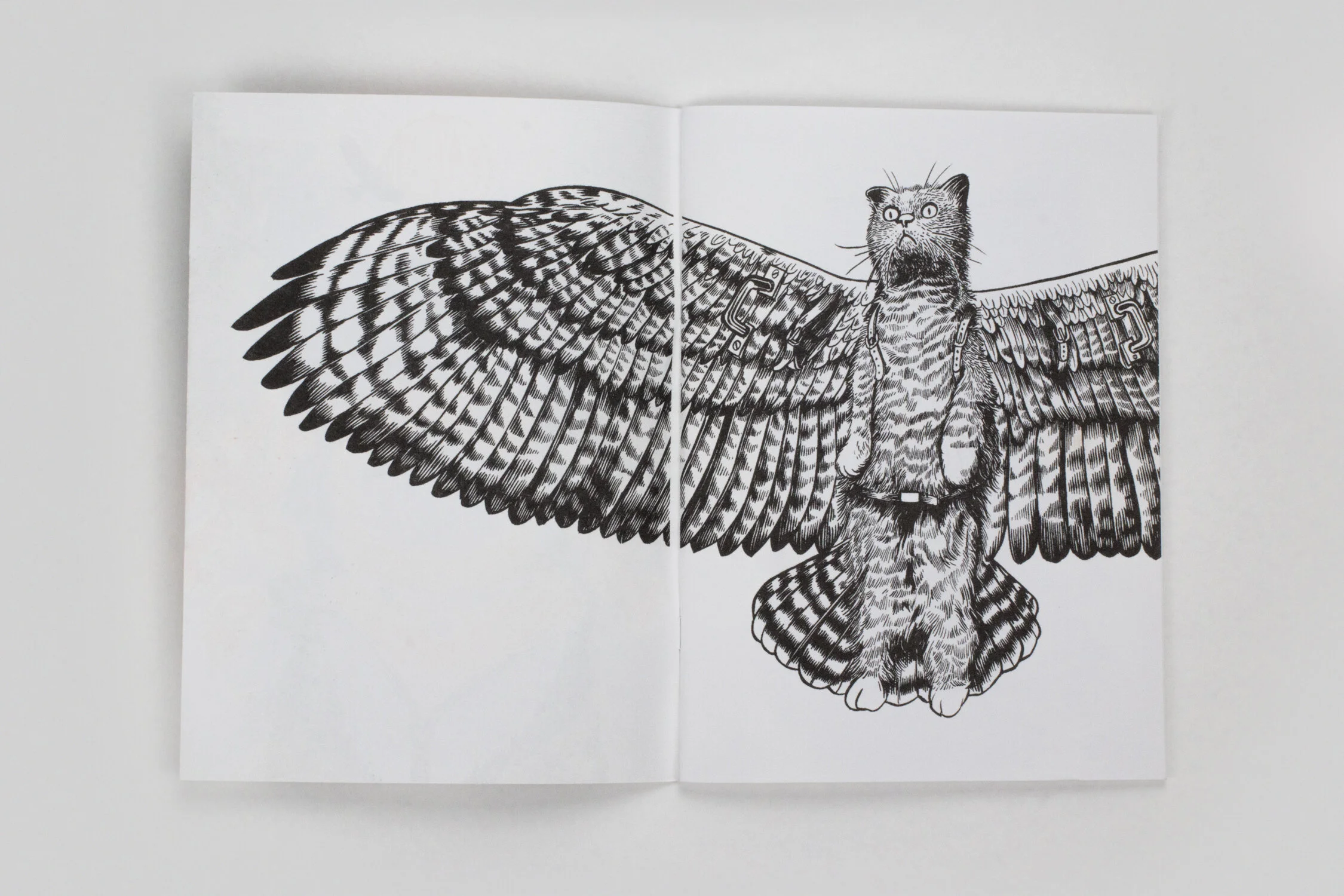PaulBorcher_FlyingMauCat2.jpg