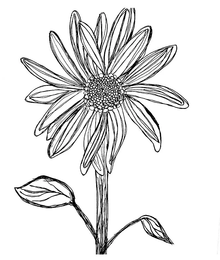 13. Have you ever seen a flower asking for a hug?