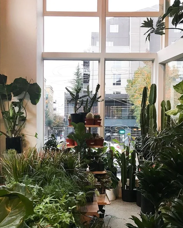 When can I move in?? 🌿🌱🌵