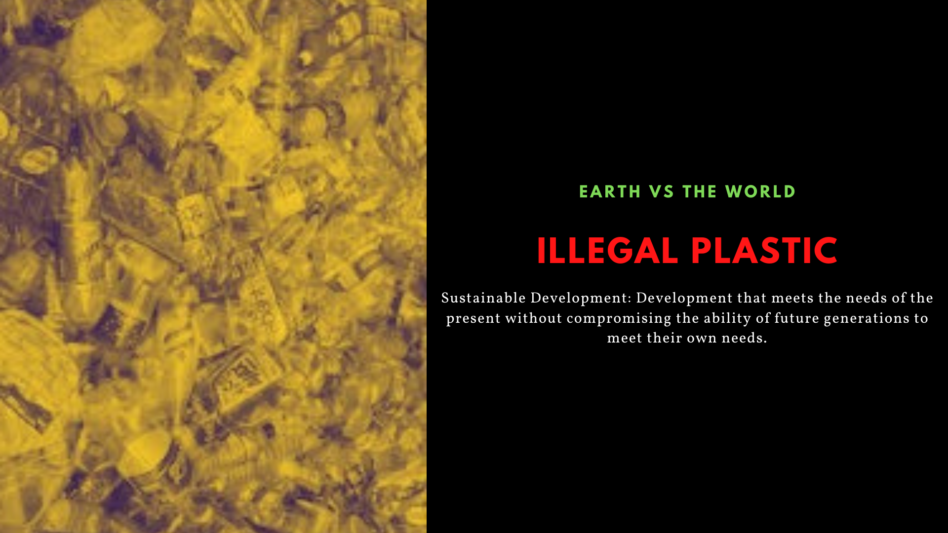 Sustainable Development: Banning Plastic Bags and Plastic Bag Pollution