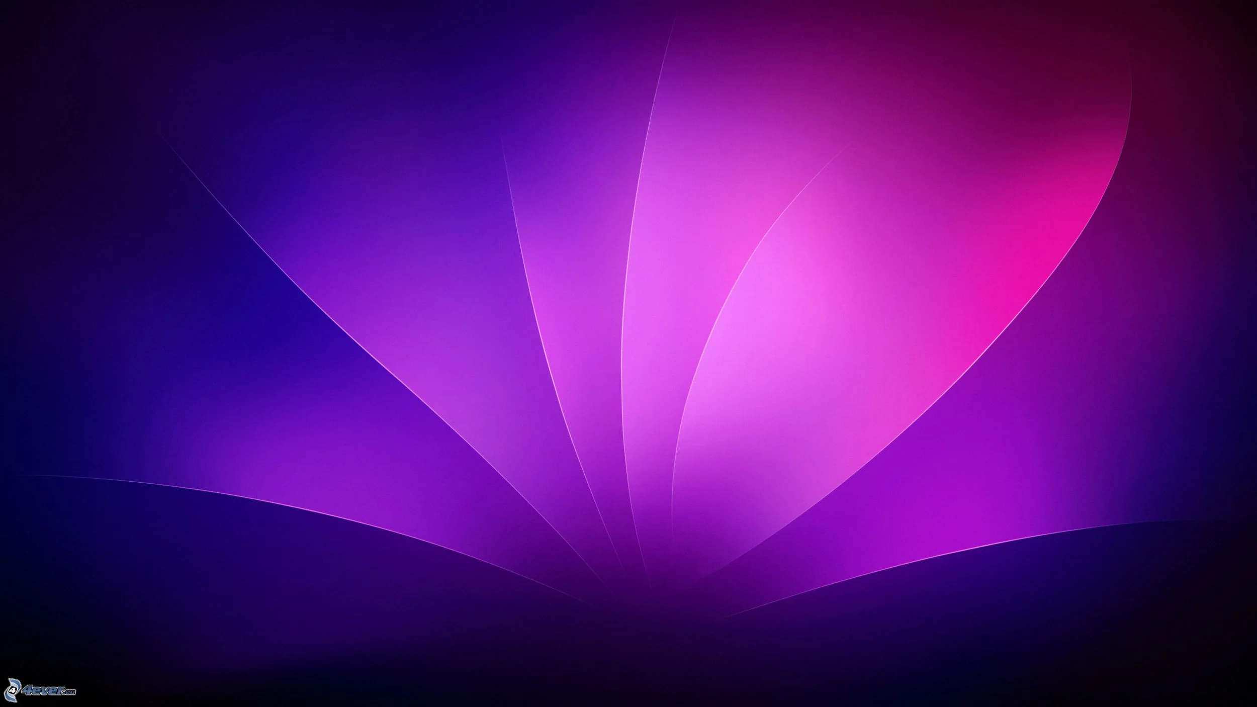 purple-background-164999.JPG