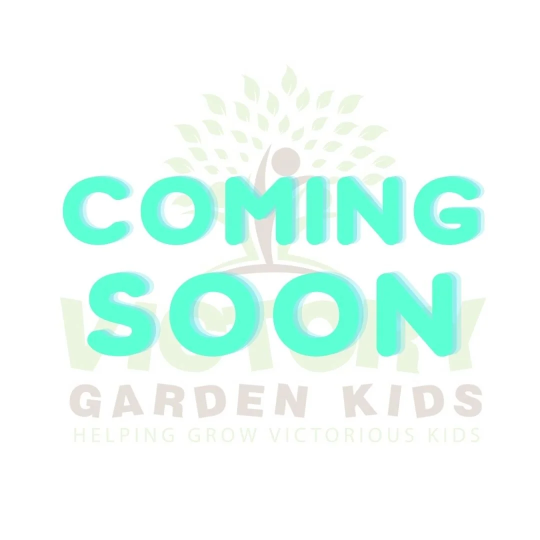 coming soon visual.jpg