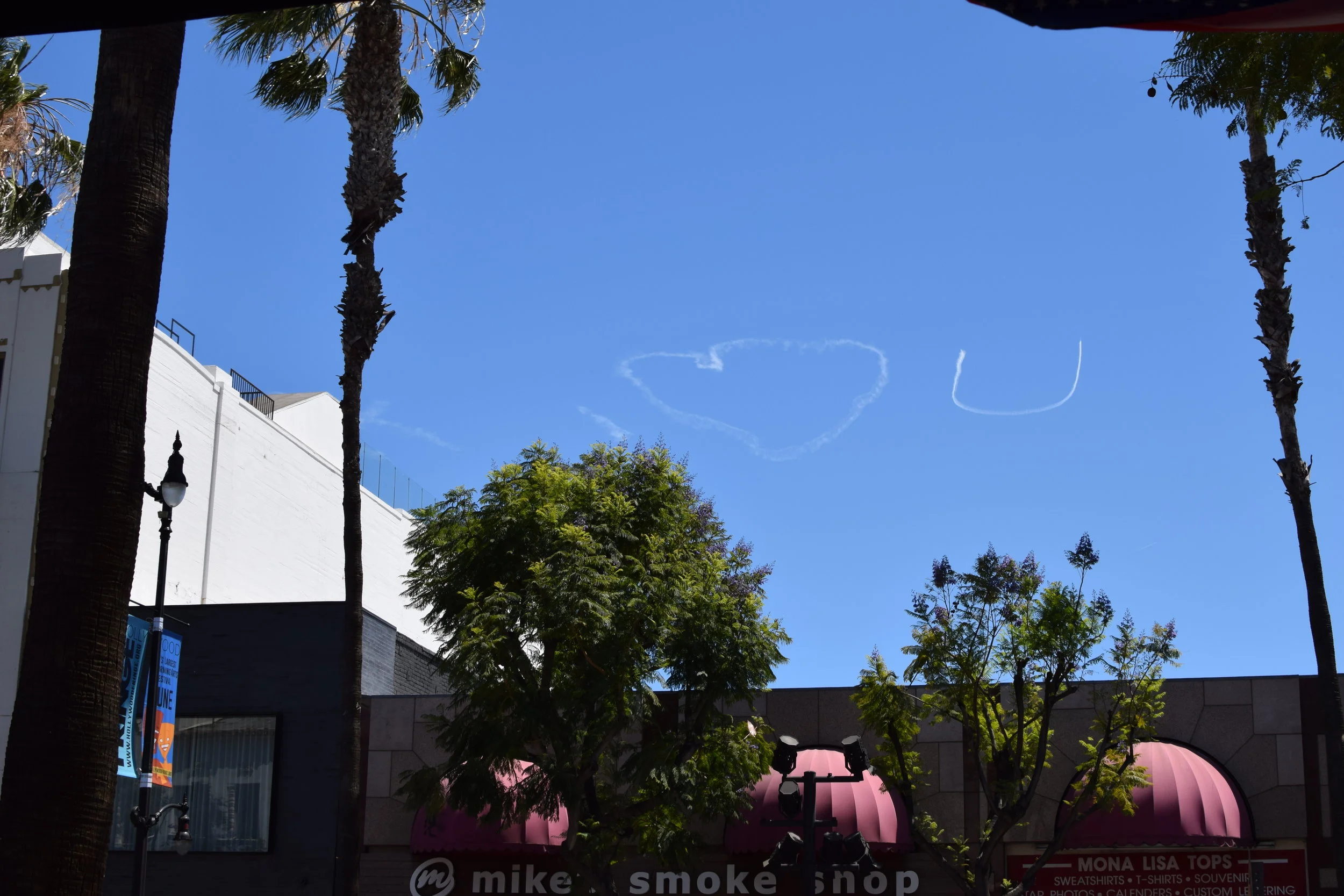 DSC_1570.JPG
