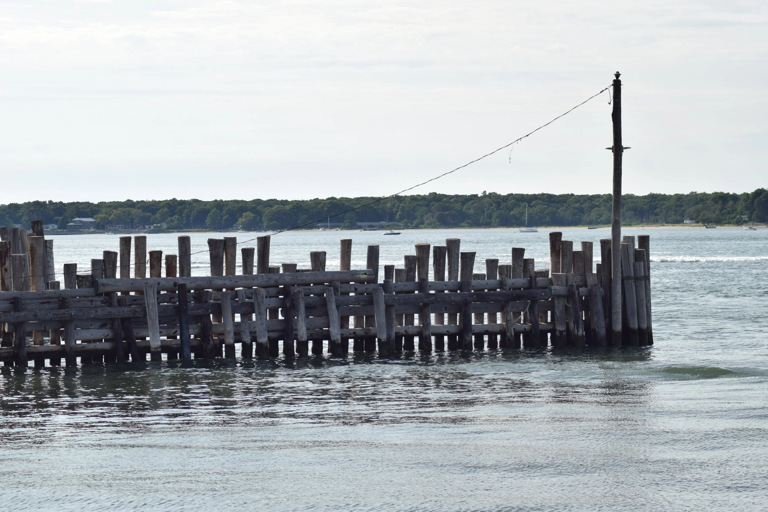 DSC_1787.JPG