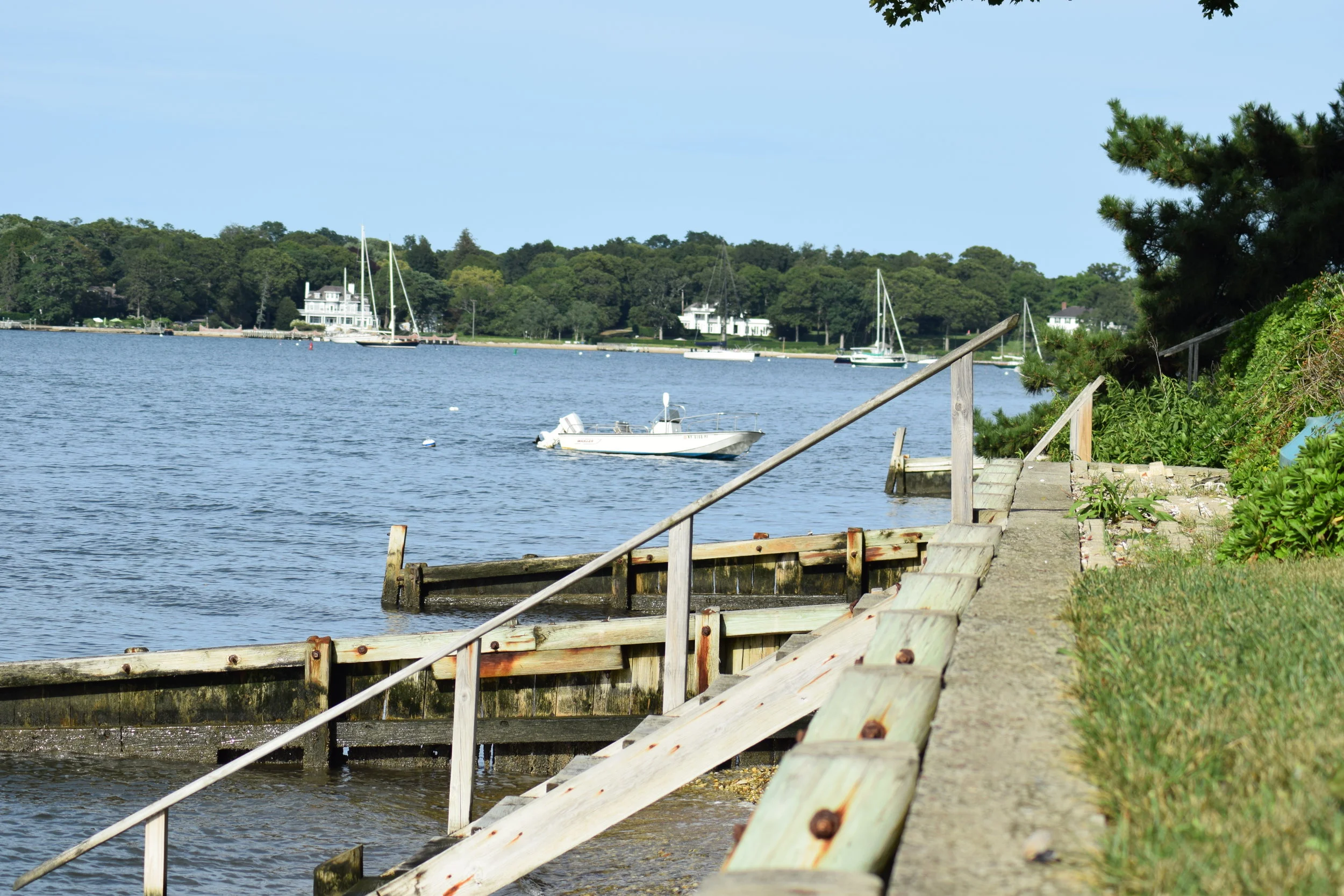 DSC_1788.JPG