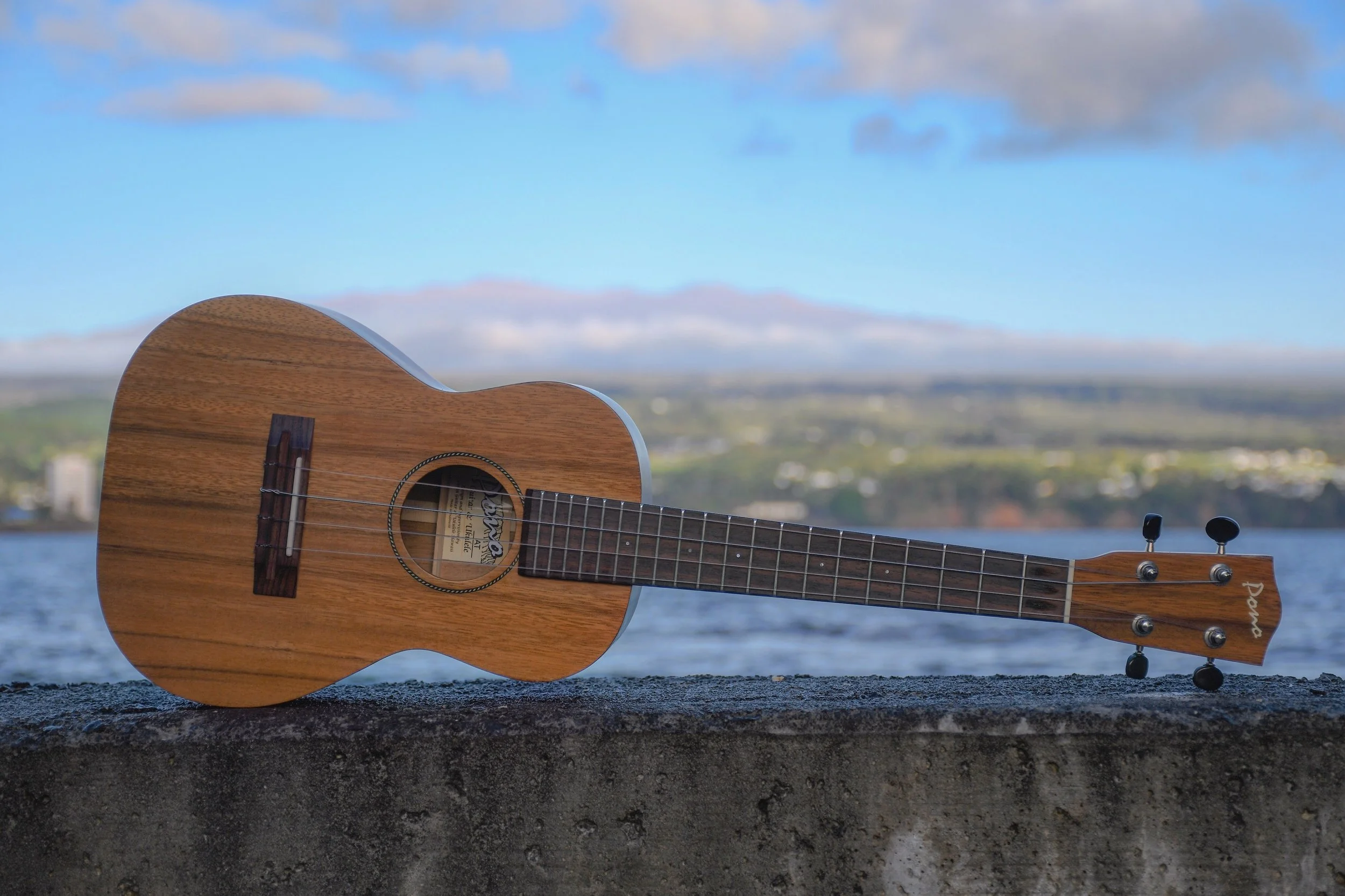 HeleUkulele2019 w/ @SRSPhotography