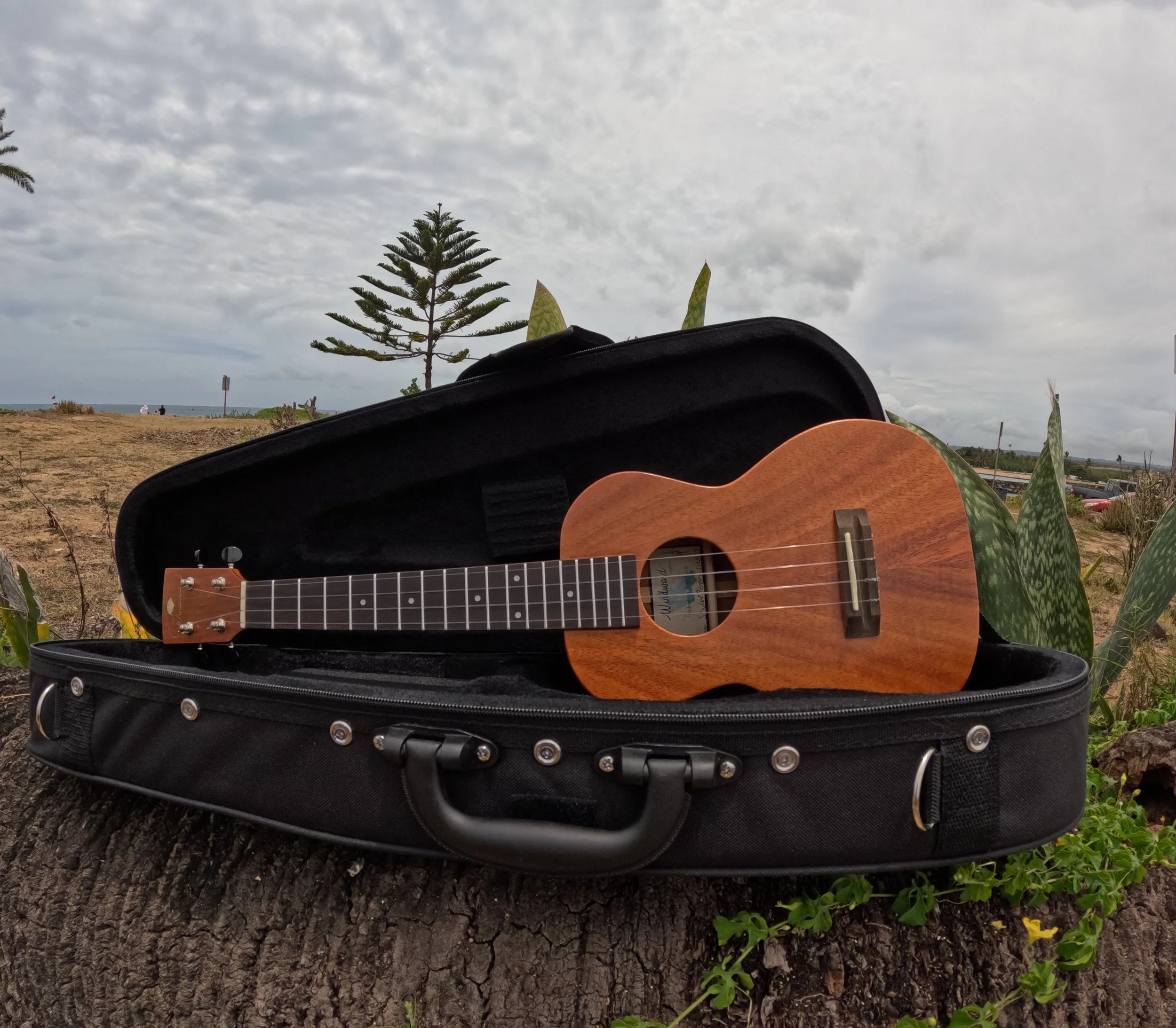 Hele Ukulele 2025 (WASHINGTON)