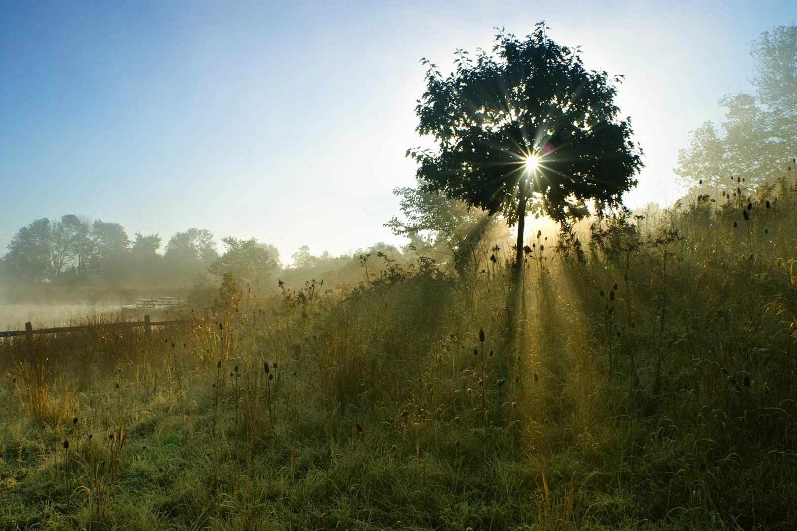 chestnut-ridge-image.jpg