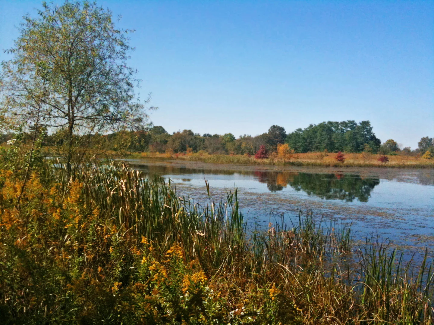 chestnut-ridge-image.jpg