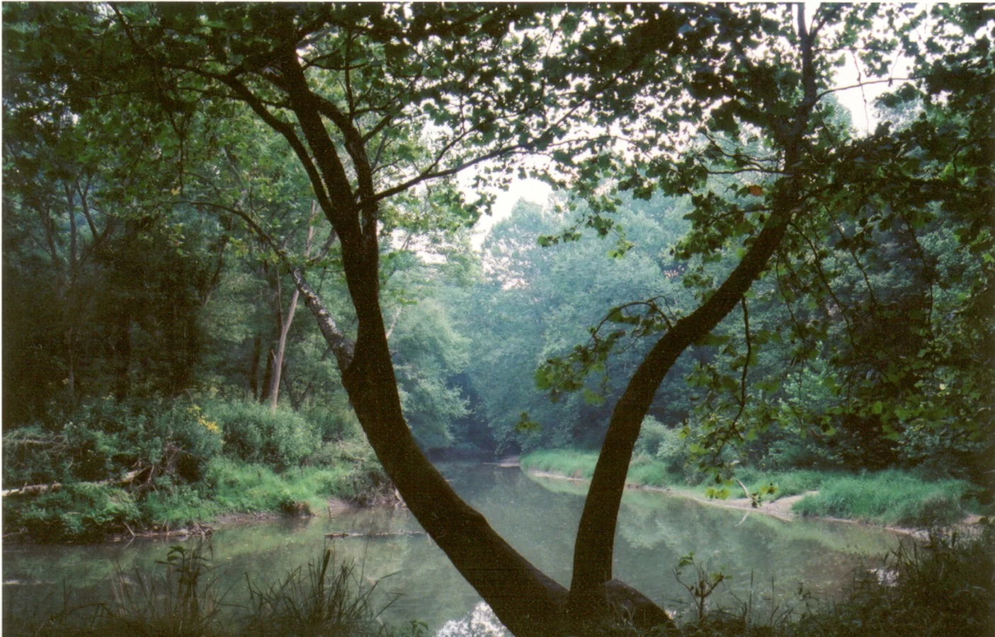 clearcreek-main.jpg