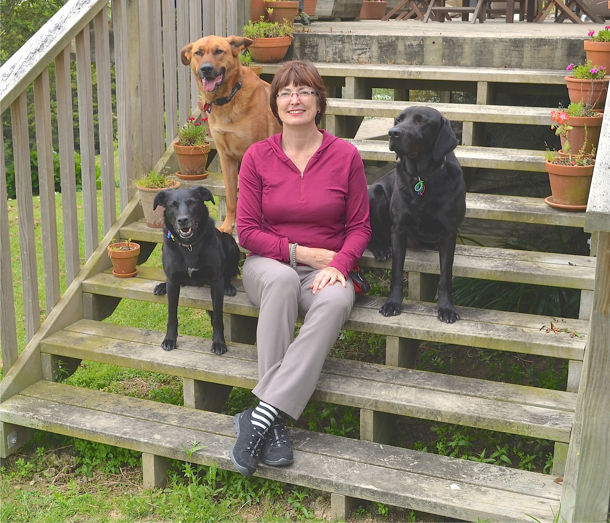bev-binney-and-dogs.jpg