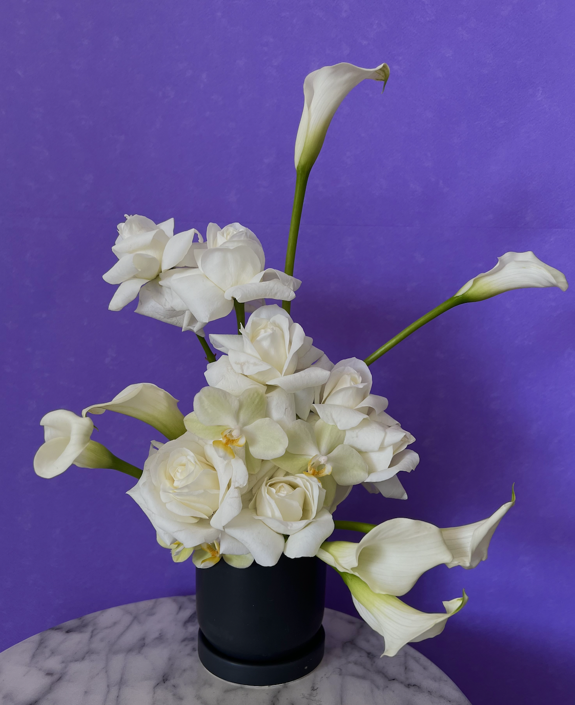 Screen Shot 2022-04-19 at 1.56.31 PM.png