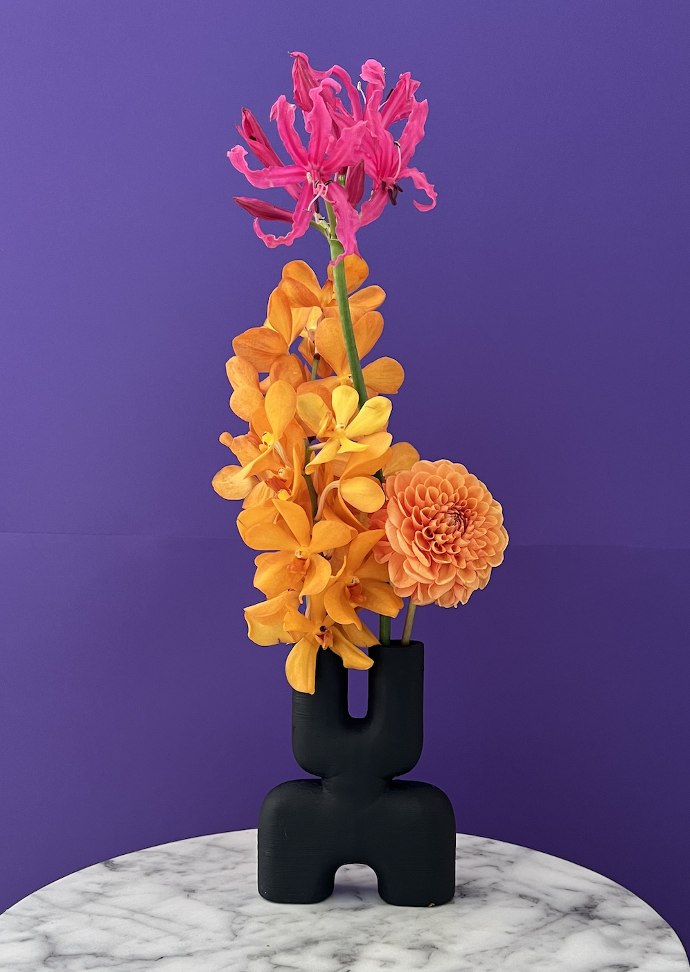 Screen Shot 2022-12-13 at 4.20.22 PM.png