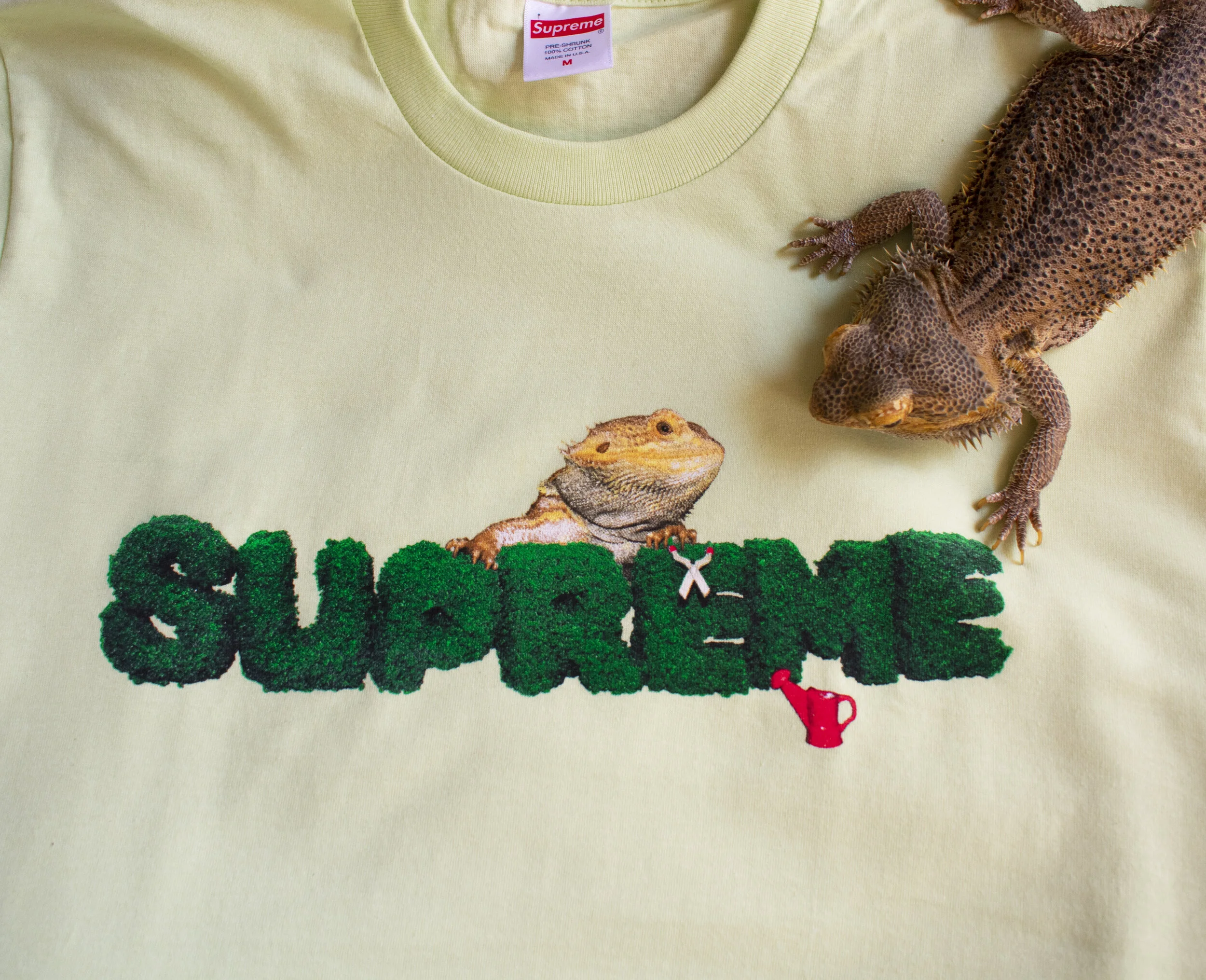 supreme bearded dragon shirt