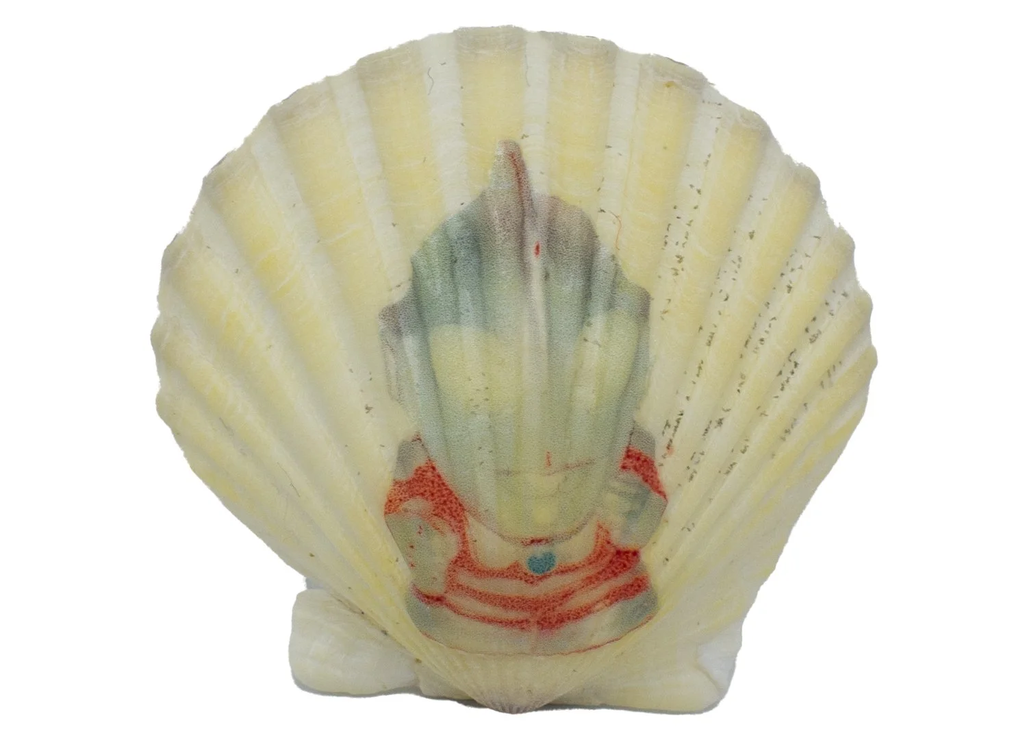 Shell - Ultraman.jpg