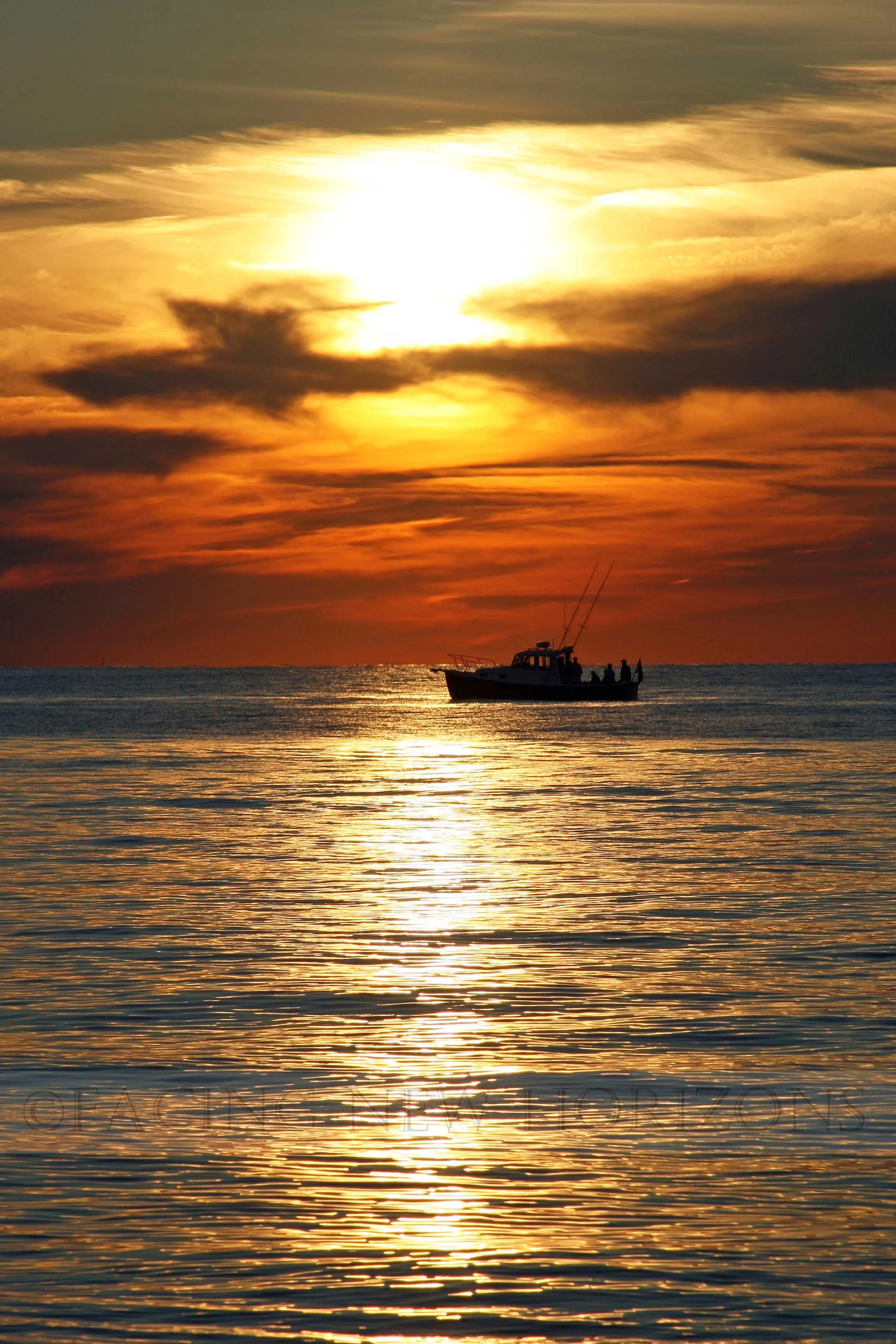 A New Journey Begins…