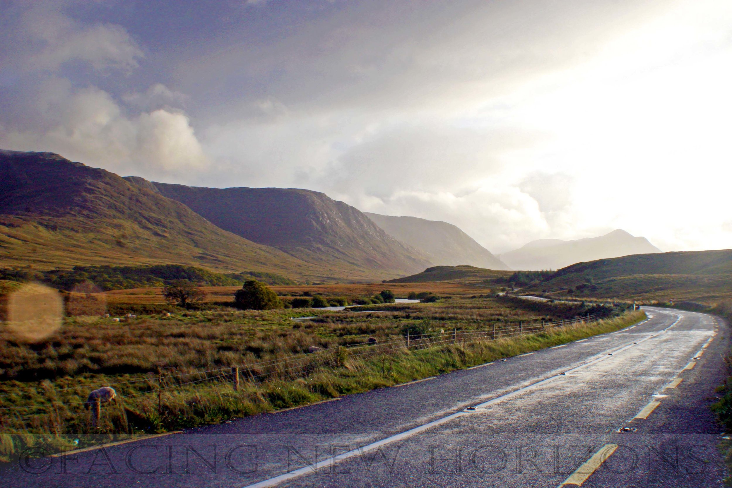 The Day I Thought I Was an Irish Rally Car Driver