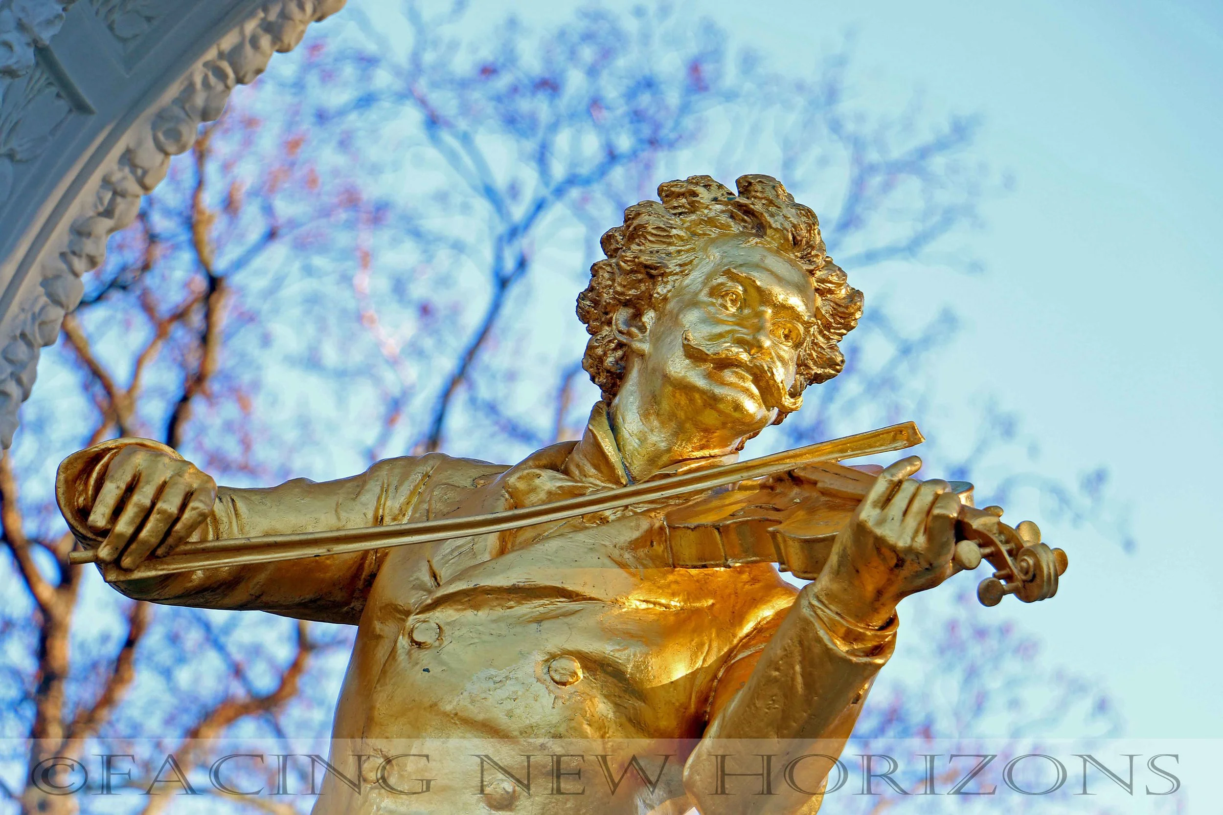 New Year's Eve in Vienna