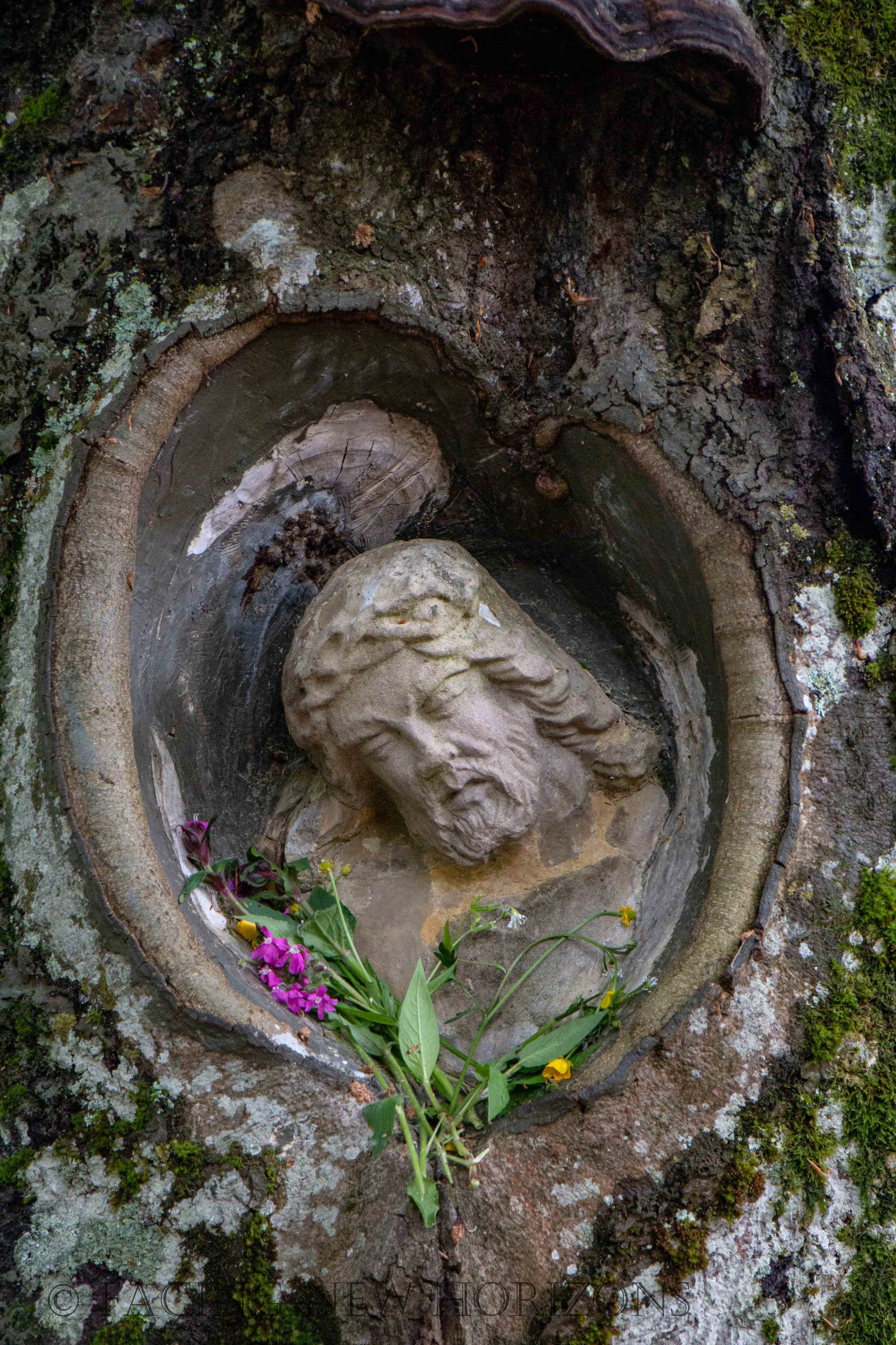 Black Forest Trails and the Balzer Herrgott