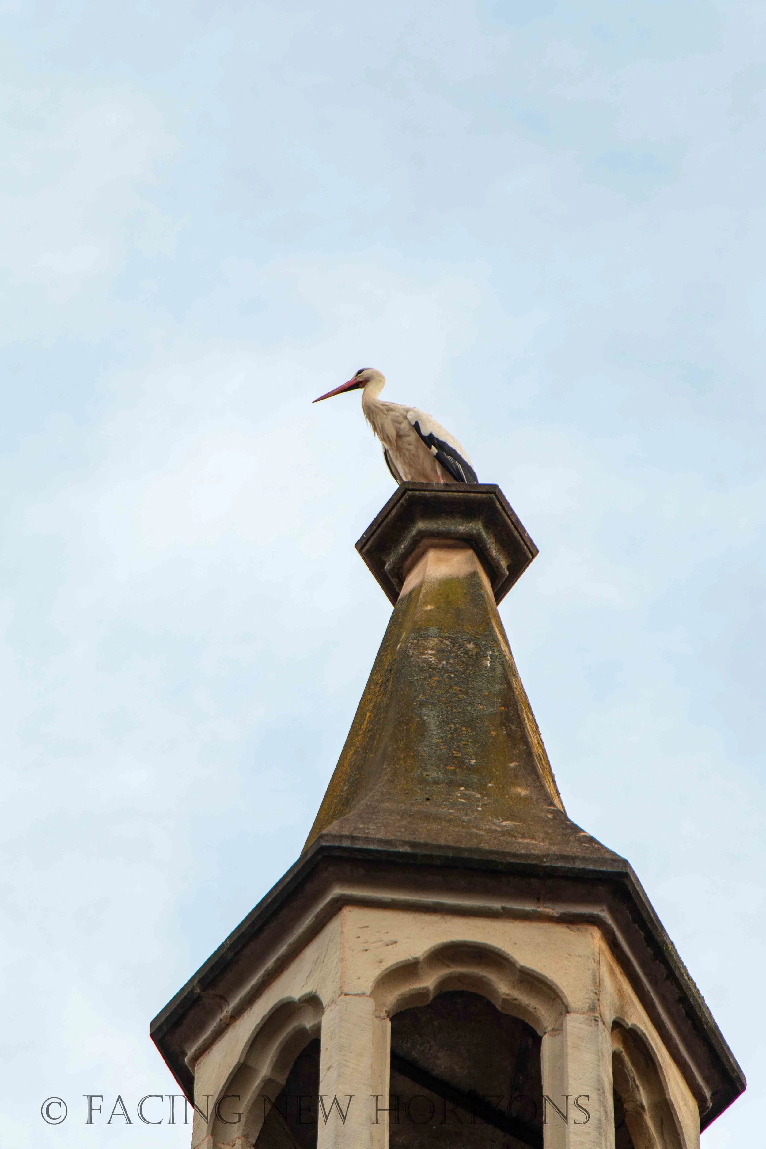 Post-Hike Evening in Ribeauville