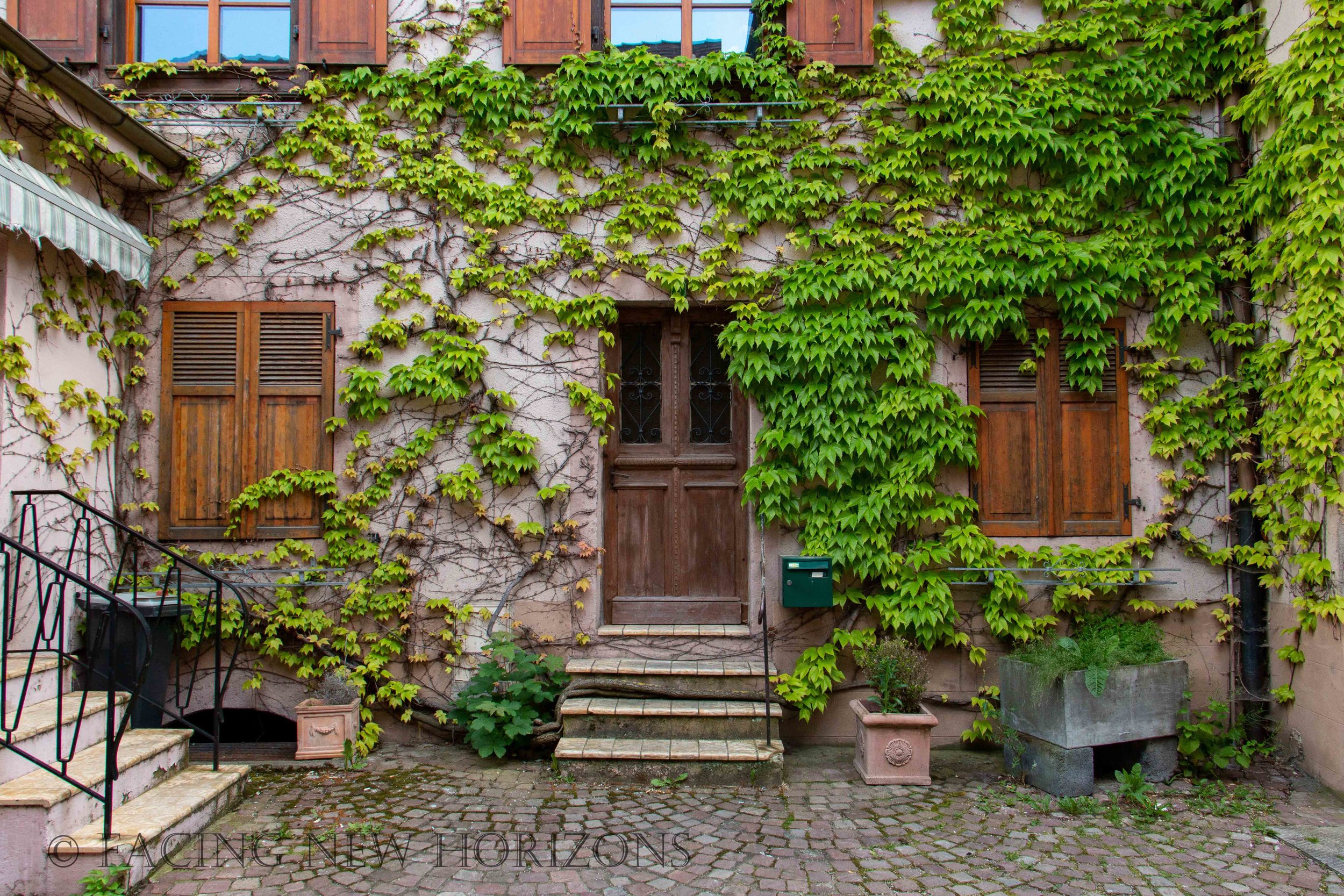 Somber Reflections in Kaysersberg