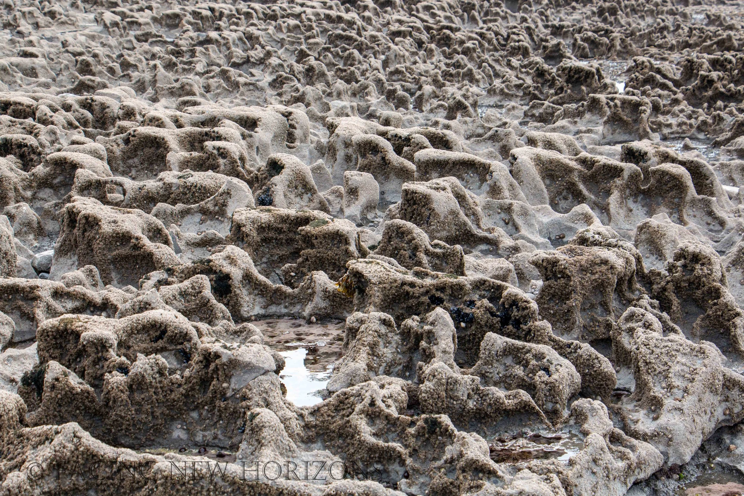 Road to the Doolin Pier