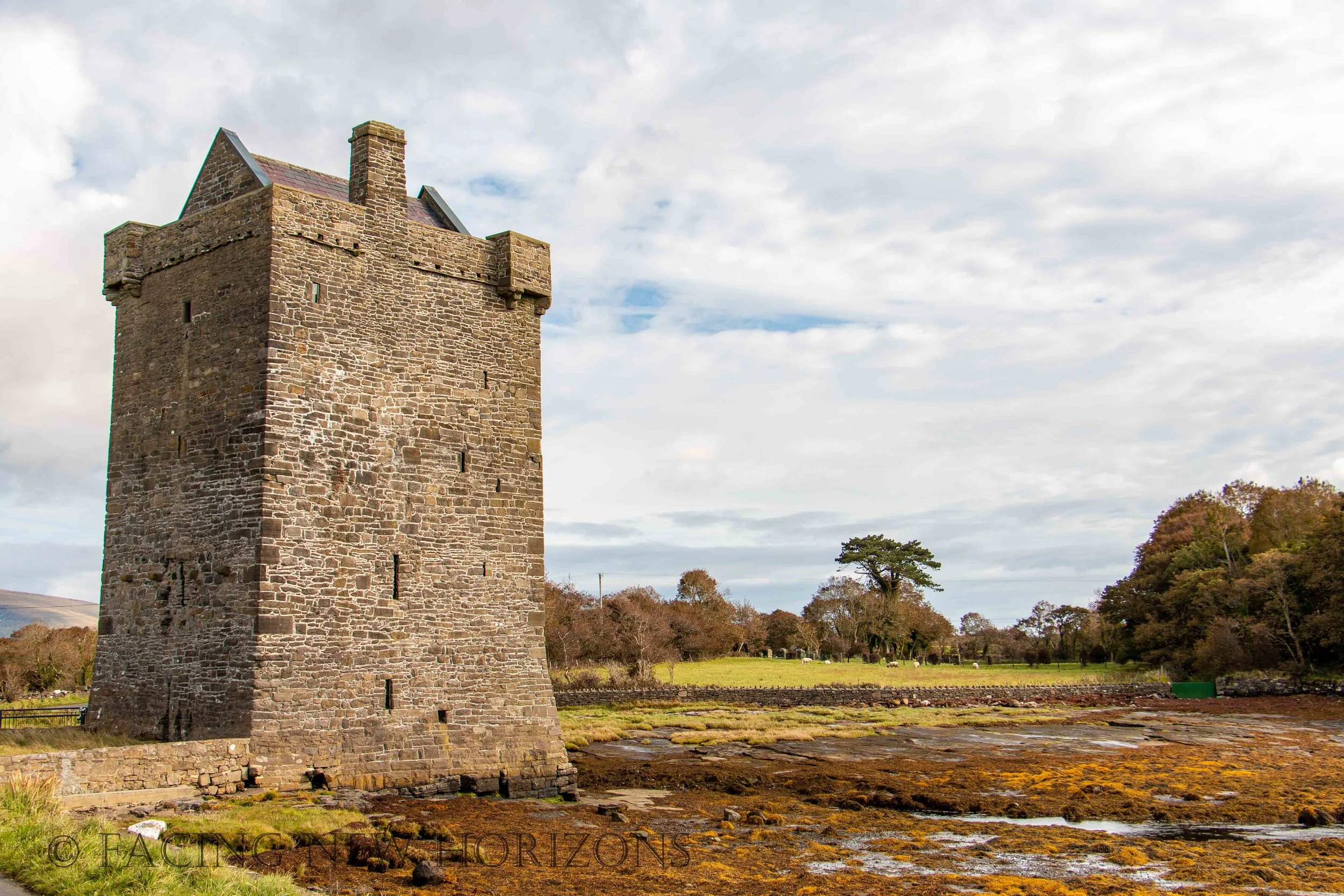 Rockfleet and the Pirate Queen
