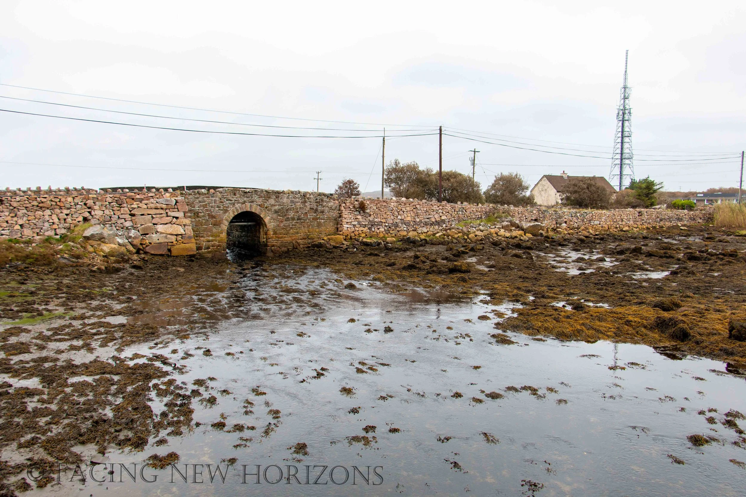 The Gaeltacht and the Coast
