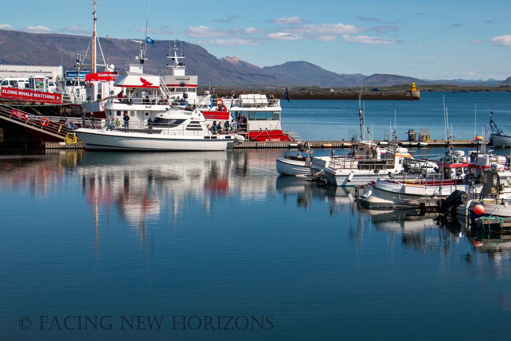  Hey, this is what I was shooting! Nice harbor view with the mountains beyond, mirror reflection on the calm water 