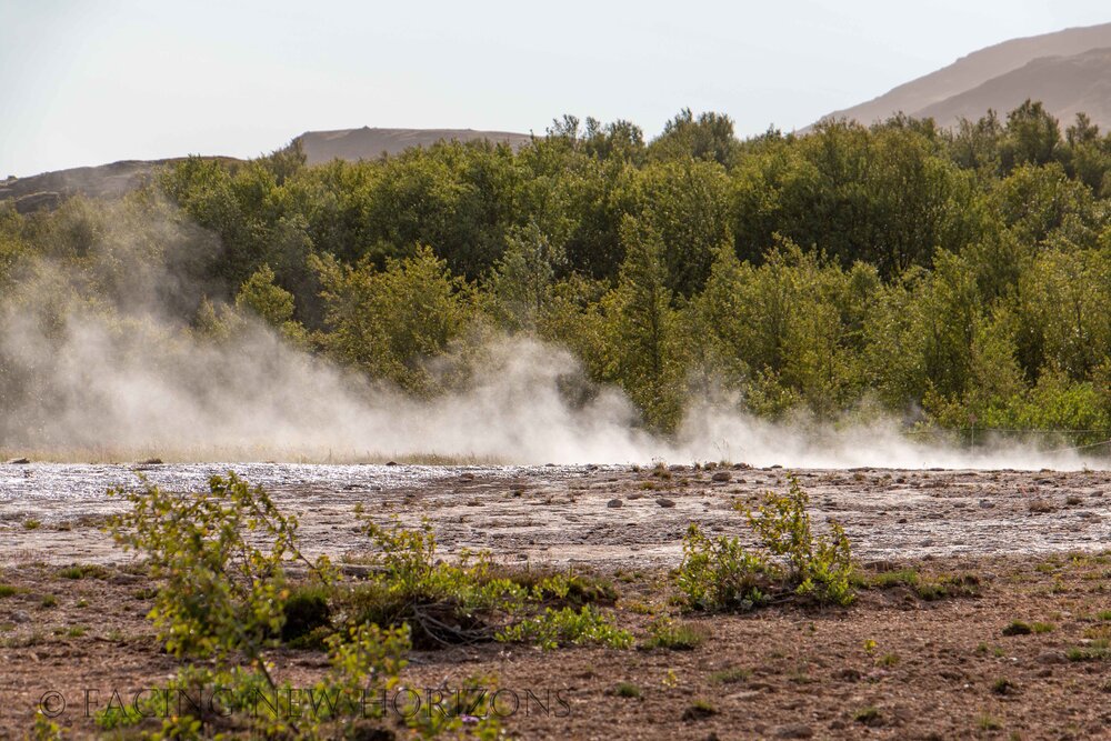  Fields of steam 