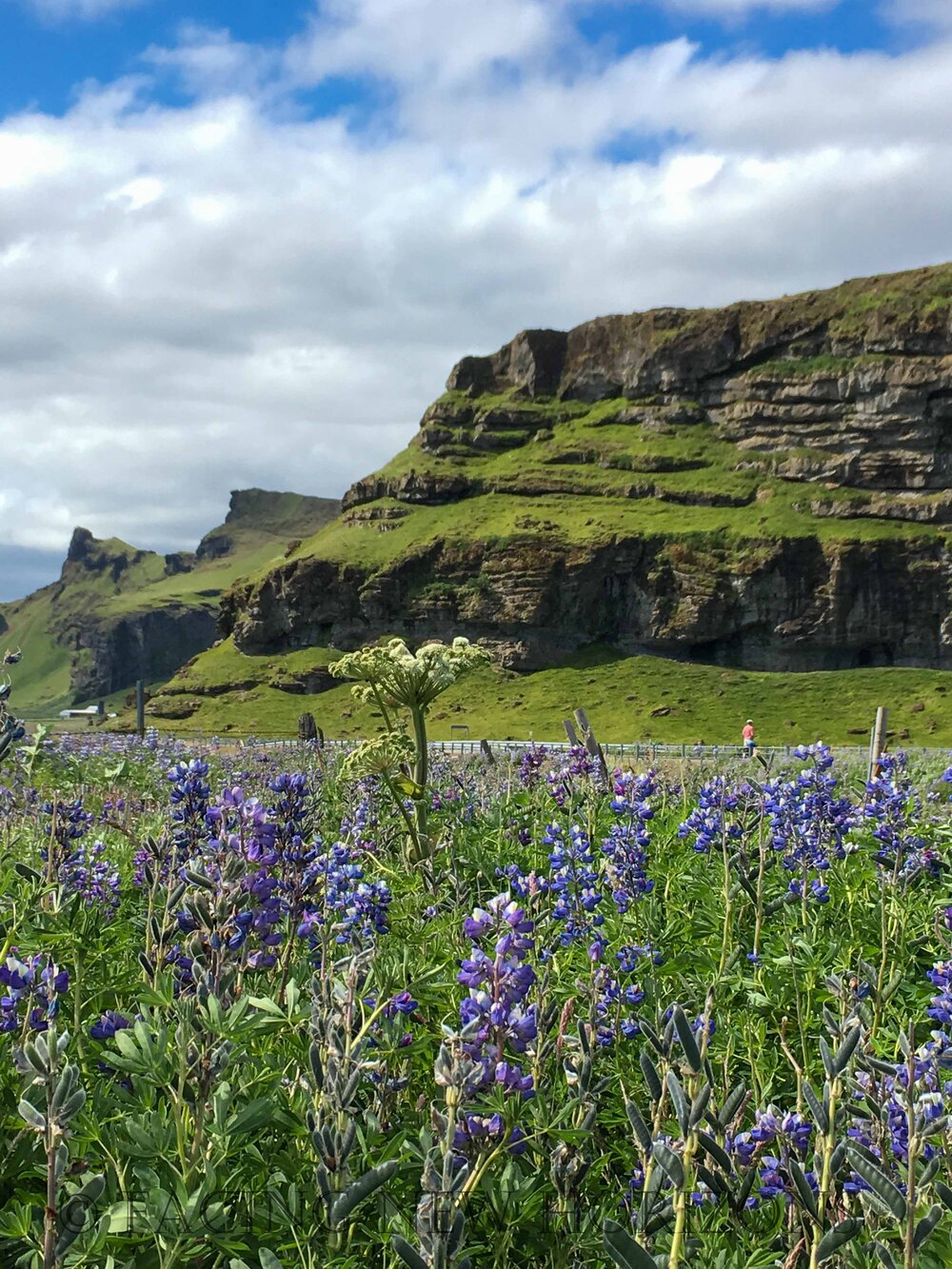  The colorful Icelandic landscape 