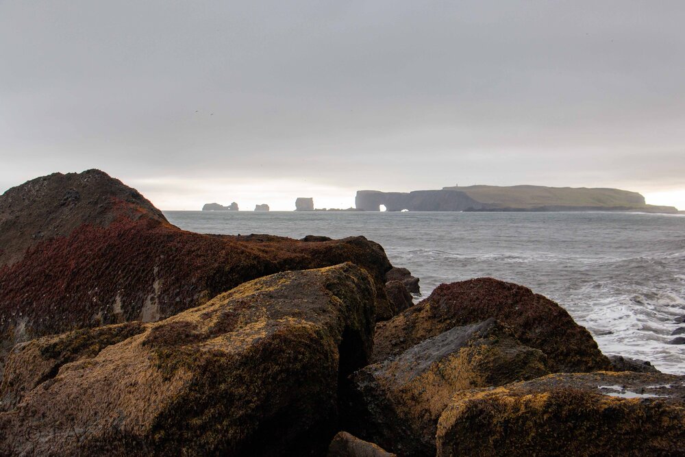  Standing on the rocks at Reynisfjara, Dyrhólaey in the distance to the west 