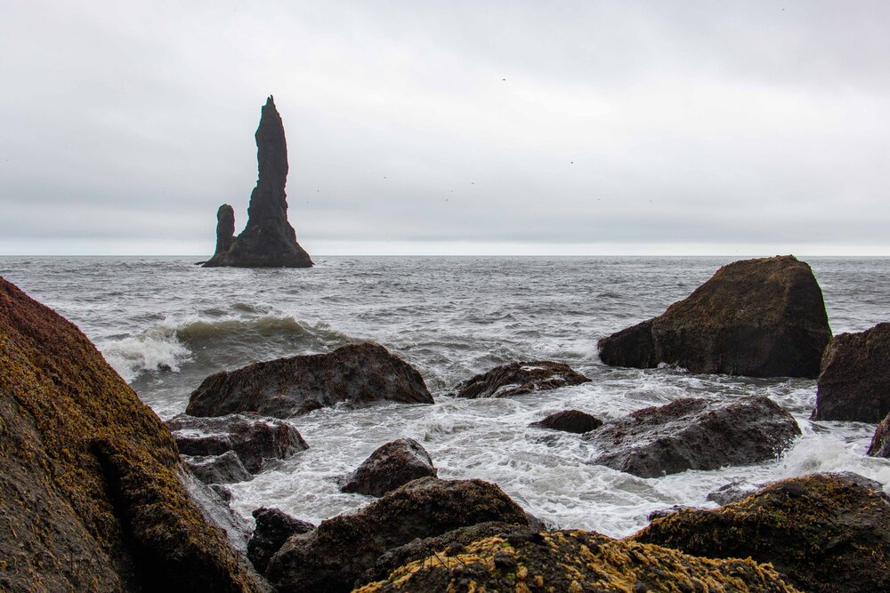  The rocky shore of Reynisfjara  with one of the Reynisdrangar spires out in the sea 