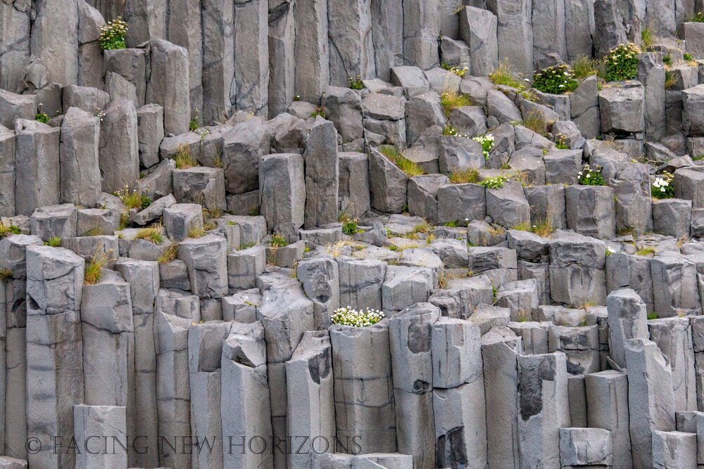  Basalt column wall at Reynisfjara  