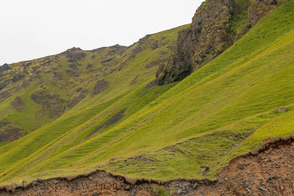  Beautiful green slopes along the mountainside at Reynisfjara  