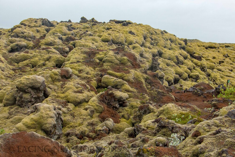  The “blobs” weren’t blobs at all, but moss-covered basalt lava flow that has hardened smooth 