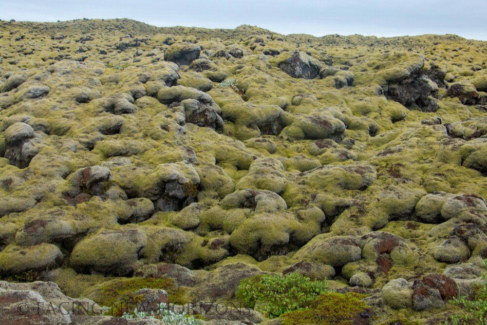  The Green Lava Fields of Skaftáreldahraun continue on for 12 square km. That’s a lot of lava! 