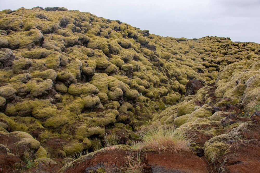  Hills and valleys of moss-covered lava blobs 