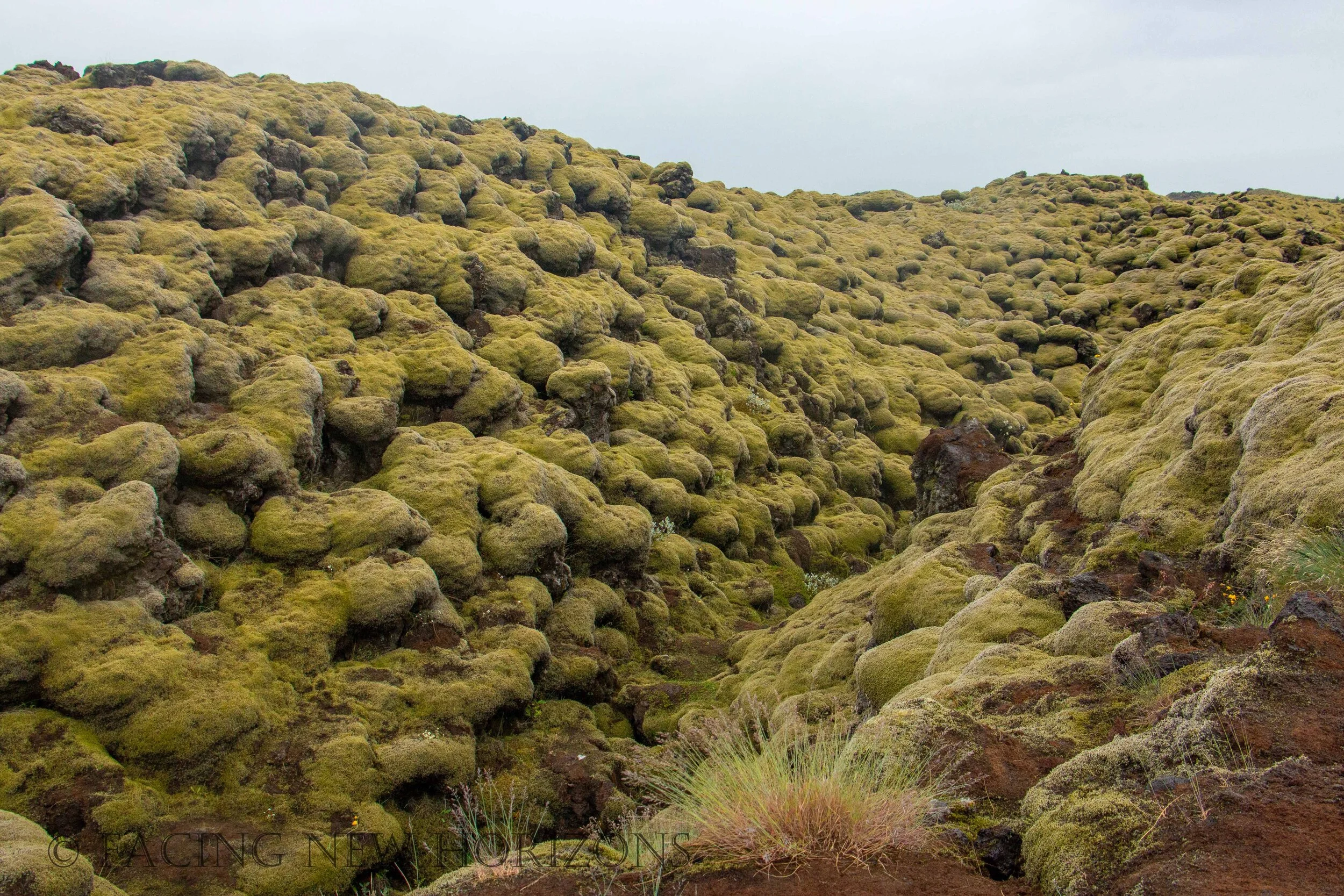 Skaftáreldahraun Green Lava Fields