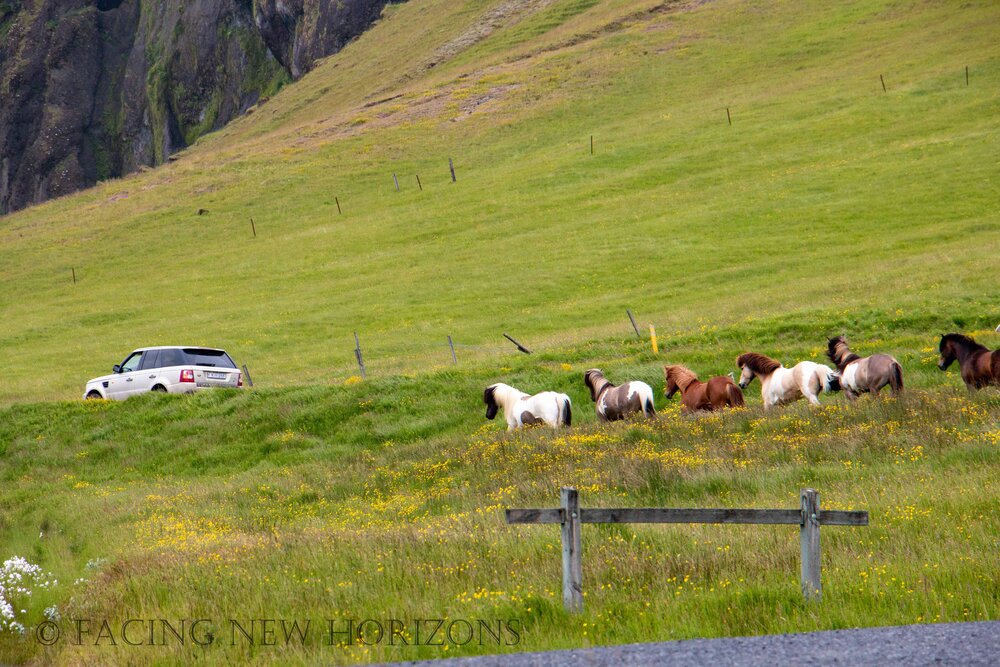  Corralling the horses with cars by Dverghamrar 