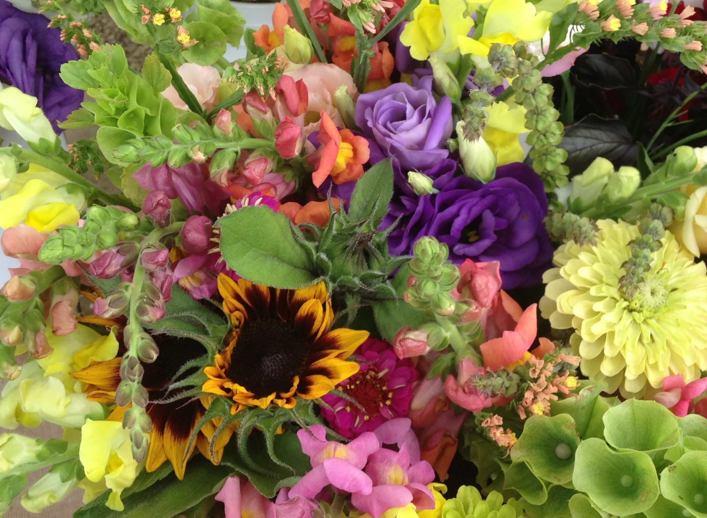 Flowers (2).JPG