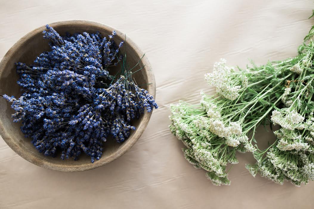 McLeary_lavender Queen Anne's lace.jpg